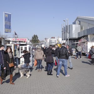 BAUExpo 2018, Messeimpression